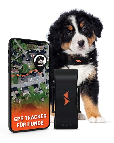 PAJ GPS Tracker für Hunde - 4G - Weglaufalarme + weltweite Live-Ortung - Akkusparmodus in Routernähe - Hunderückruf - mit Leucht-LEDs -...